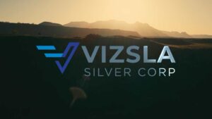 vizsla